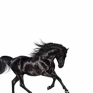Lil Nas X- Old Town Road