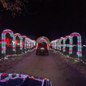 2020-11-27 20.23.52 2452045569264568165_rudolphslightshow