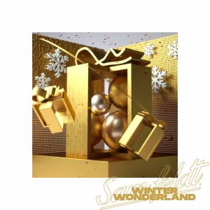 Sam Feldt: Winter Wonderland-Moving Heads